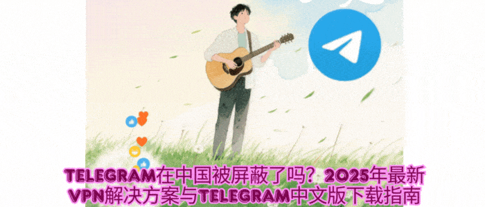 Telegram屏蔽技术原理详解 - DNS污染与IP封锁机制动态演示